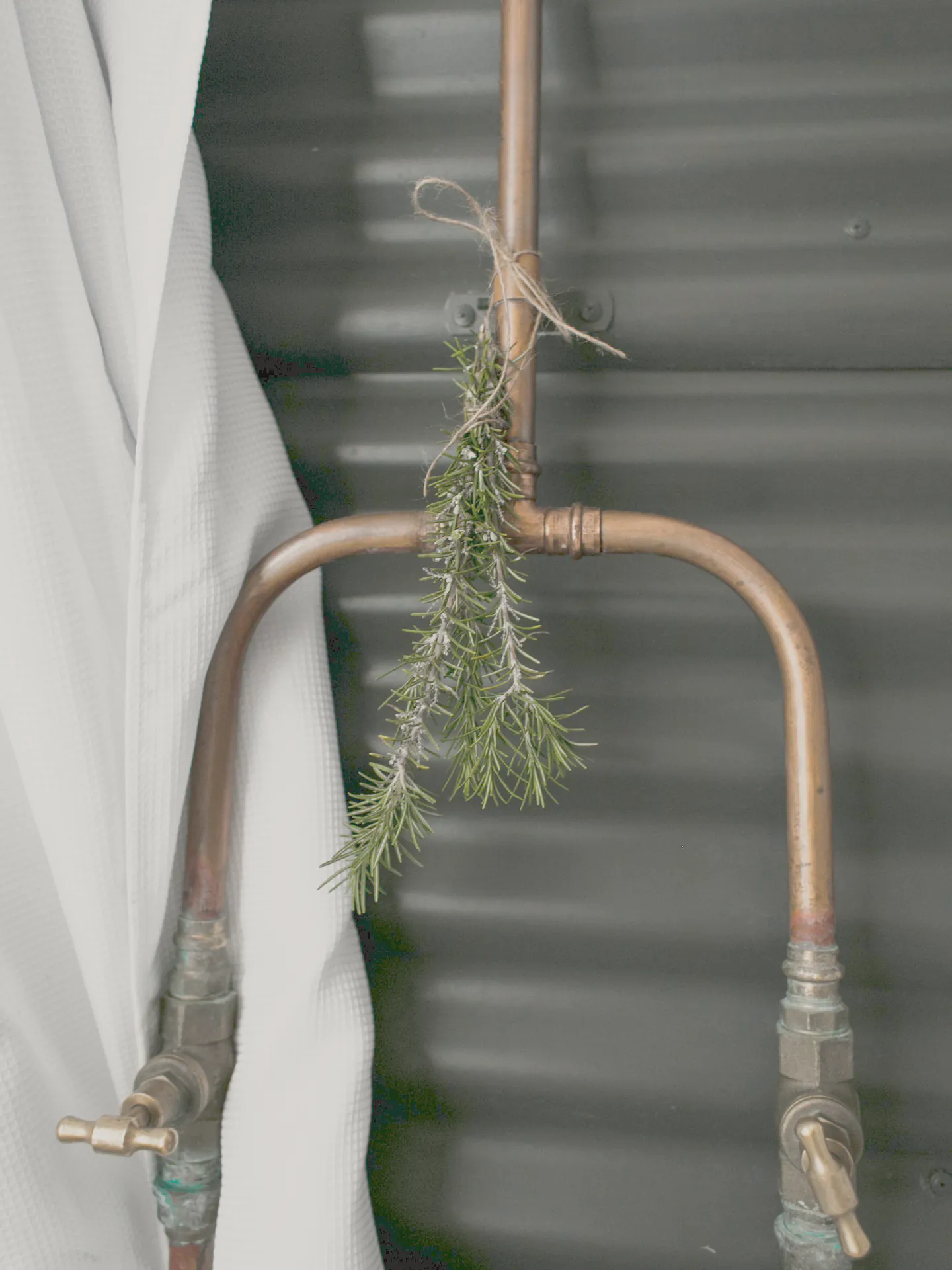Exposed copper pipes with a sprig of green